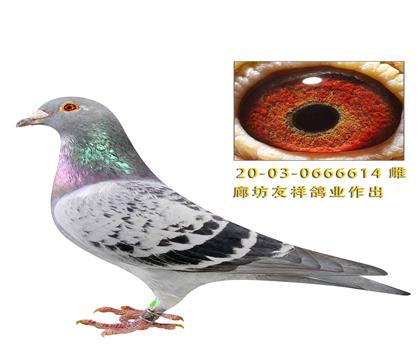 �ȷ������ҵ����