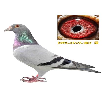 �����ҵ����� ���ǲ���1807