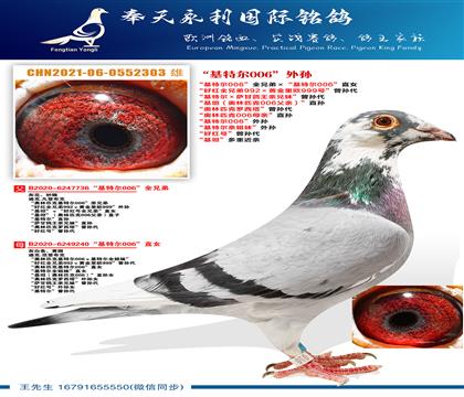 �����ض�006��ȫ�ֵܡ������ض�006��ֱŮ ���ú�ȫ�ֵ�9