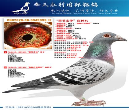 ��������9999����ī�ƶ��ɡ�ֱ��Ů ���Ÿ�����ֱ��Ů ���