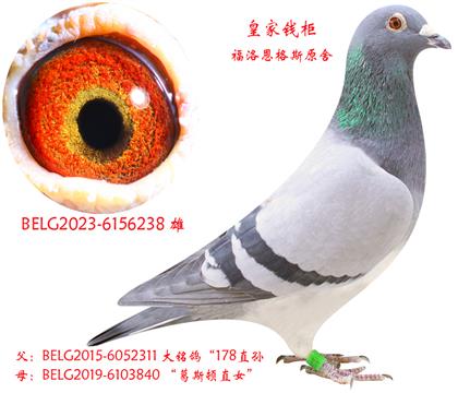 �ʼ�Ǯ�񣡶���˹ԭ�ᣡ��˼�����