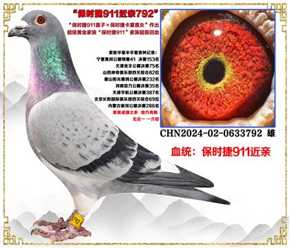 ���ص��Ƽ�������ʱ��911ֱ��X��ʱ��911ȫ�ֵ�ֱŮ������