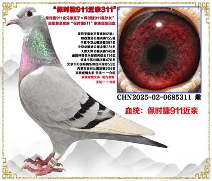 ���ص��Ƽ�������ʱ��911ȫ�ֵ�ֱ�ӡ�911ֱ��Ů�����׻�Ѫ