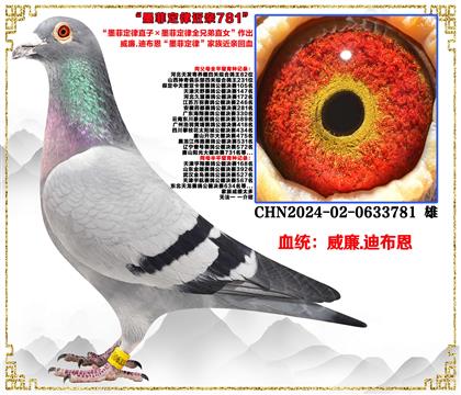 ���ص��Ƽ�������.�ϲ�����ī�ƶ���ֱ�ӡ�ī�ƶ���ȫ�ֵ�ֱŮ��