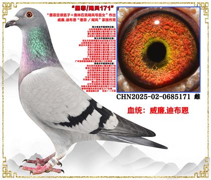 ���ص��Ƽ�����ī�ƶ���ֱ�ӡ�����ƥ��쫷��ֱŮ��