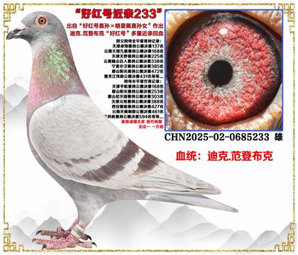 �Ͽ�.���ǲ��ˡ��ú��ֱ���������ֱ��Ů������