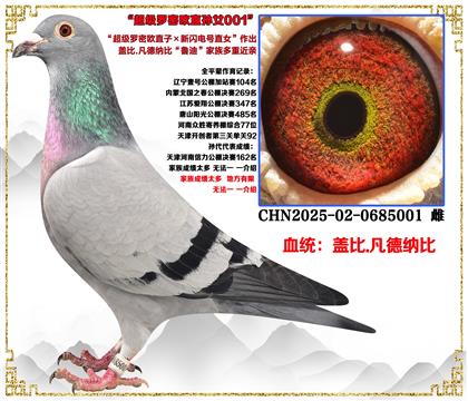 �Ǳ�.�����ɱȡ���������ŷֱ��X������ֱŮ������