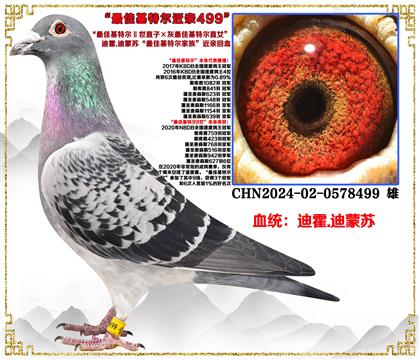 �ϻ�.�����ա���ѻ��ض�����ֱ�ӡ�����ѻ��ض�ֱŮ��