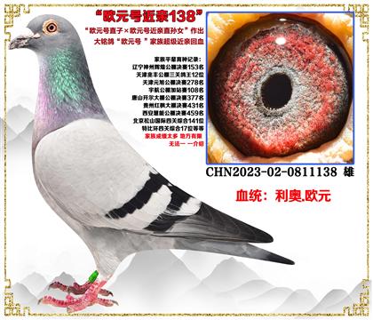 ���¡�ŷԪ��ֱ�ӡ�ŷԪ�Ž���ֱ��Ů����������