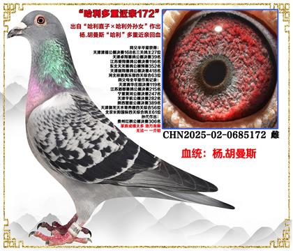 ��.����˹������ֱ�ӡ���������Ů�����׻�Ѫ