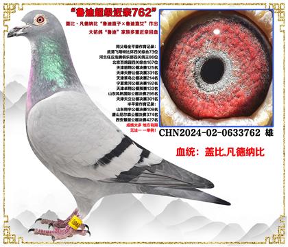 �Ǳ�.�����ɱȡ�³��ֱ�ӡ�³��ֱŮ����������