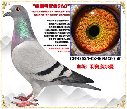 ���¡�����ƥ����ӥȫ����ֱ��X��ӥֱ��Ů����������