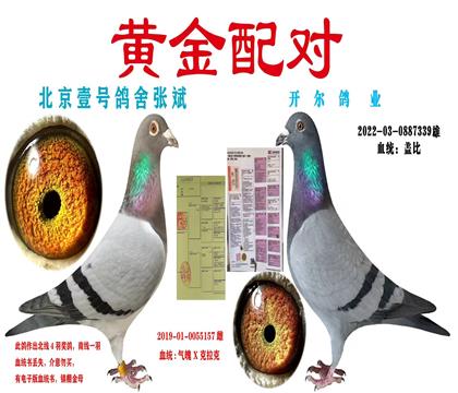 �����ƽ���ԣ�������ѡ��