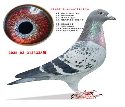 ���ºն������λ���ԡ�ֱ��X����003ֱ��Ů