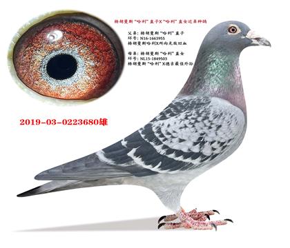 �����˹��������ֱ��X��������ֱŮ