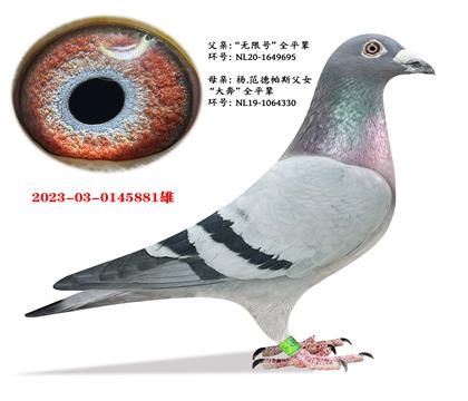 ��.������˹�����޺š�ȫƽ��X���󱼡�ȫƽ��