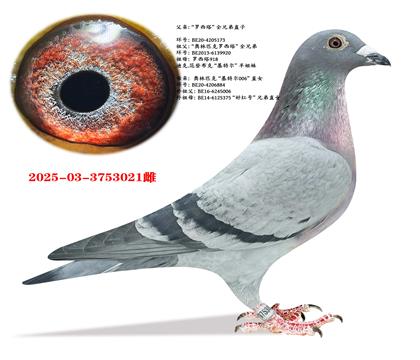 ������ȫ�ֵ�ֱ��X���ض�006ֱŮ