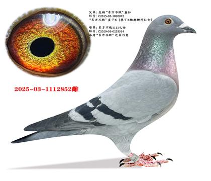 ���衰�������ܡ�ֱ��X��������1111ֱŮ