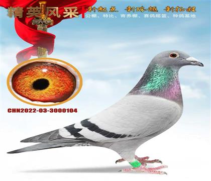 ���ҡ��Ǳ�