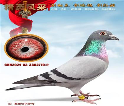 ³��ֱ������ֱŮ