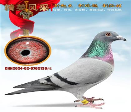 �����ϲ���������