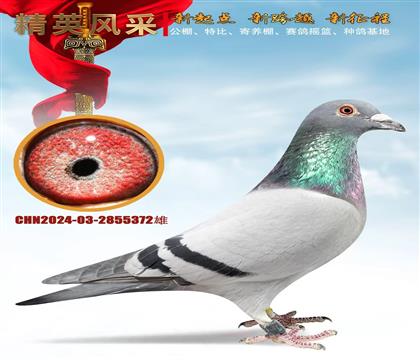 �Ǳ�����Ŷ��ػ�Ѫ