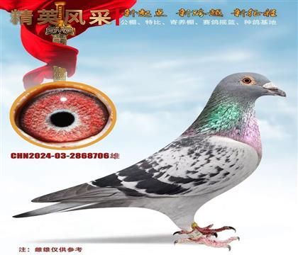 ������ᡢ������˽��