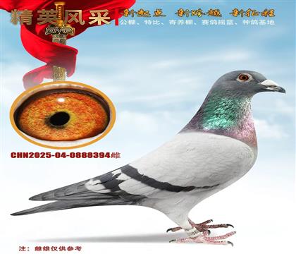 �ص㡢�����߼�����