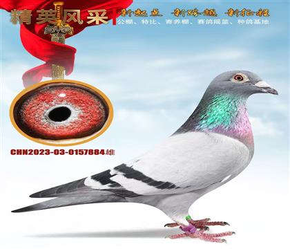 ʯ����ɣ��ʿ��������������