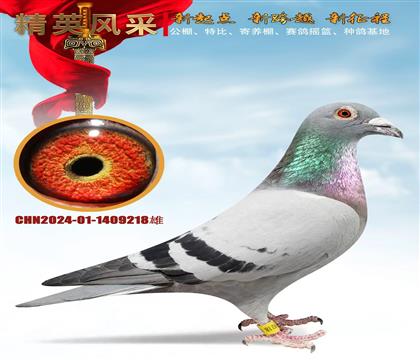 ���ºն�������ƿ�