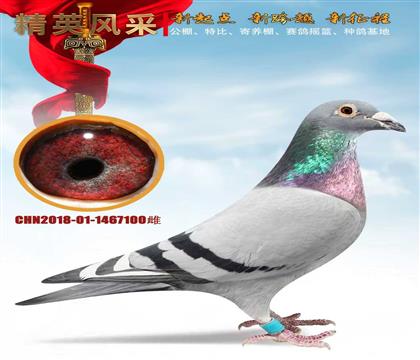 �����ϴ� ����430����49��