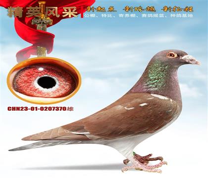 Ļ���Ŵ����