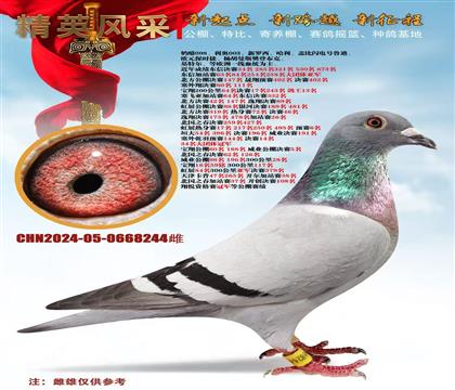 ʵս��Ѫ����