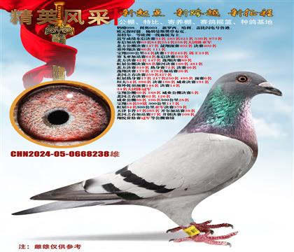 ʵս��Ѫ���塢