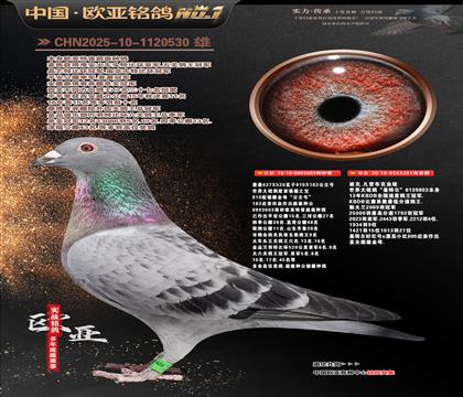 ղɭ919ֱ��603Xΰ��ڰ�281