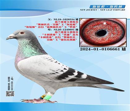 ���գ�����661