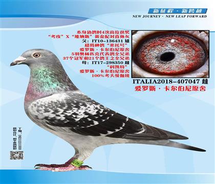 ����˹.��������ԭ�᣺���Ÿ�047