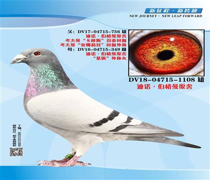 ��ŵ.������ԭ��108