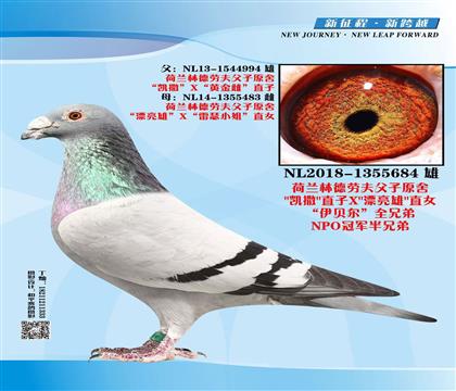 �����ֵ��ͷ���ԭ��684