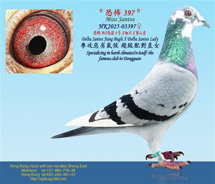 專攻惡劣氣候恐怖59 X 西翁4号X细川X势山系