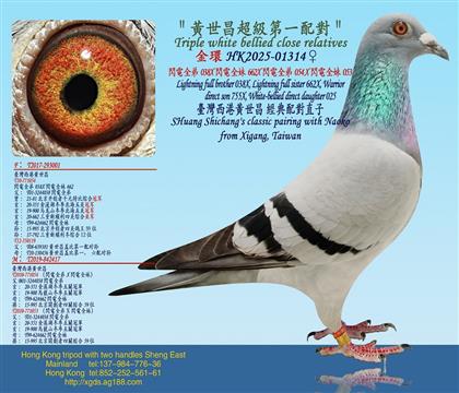 黃世昌超級第一配對/閃電全弟X閃電全妹X閃電全弟X閃電全妹