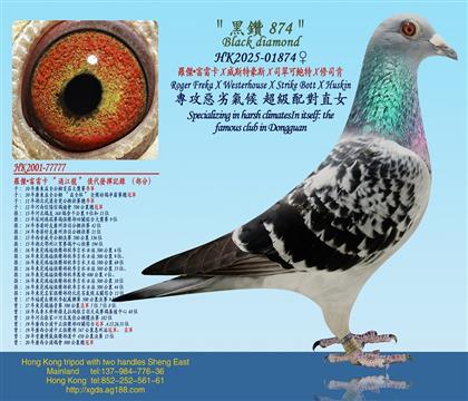 羅傑·富雷卡X威斯特豪斯X司翠可鮑特X修司肯