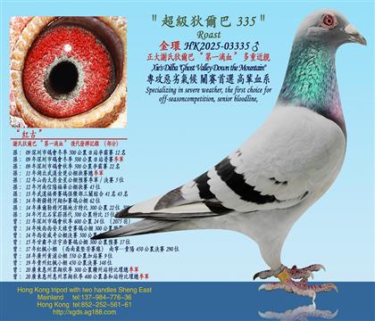 正大謝国民狄爾巴“第一滴血”多重近親