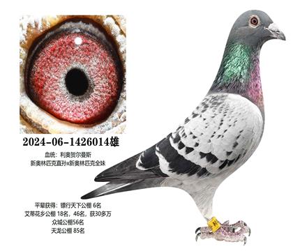 ���£��°���ƥ��014