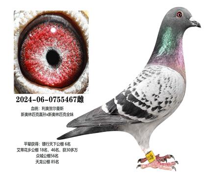 ���£��°���ƥ��467