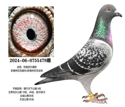 ���£��°���ƥ��479