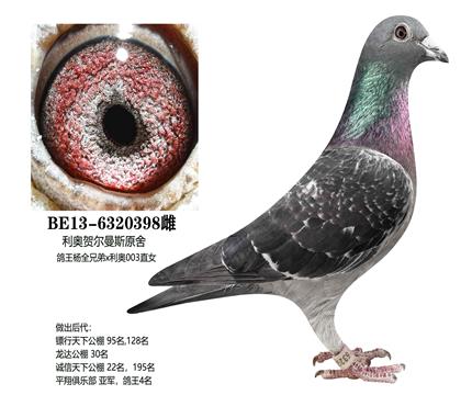 ����ԭ�᣺������ȫ�ֵ�x003ֱŮ