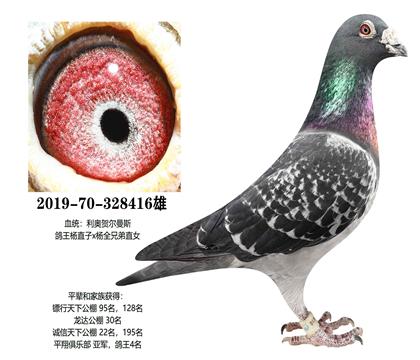 ���£�������416