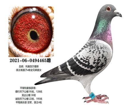 ���£�������465