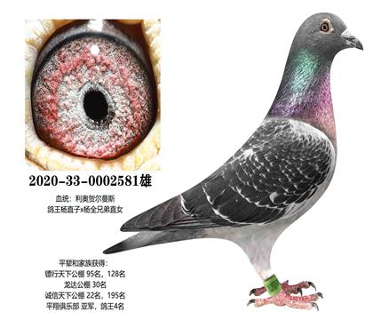 ���£�������581